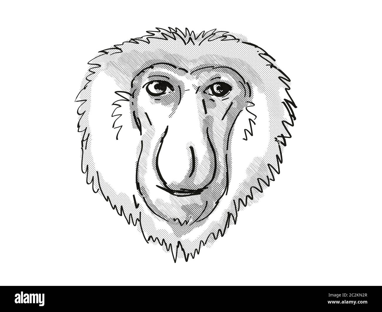 Retro cartoon style drawing of head of a Proboscis Monkey, a medium-sized arboreal primate in Borneo and an endangered wildlife species on isolated wh Stock Photo