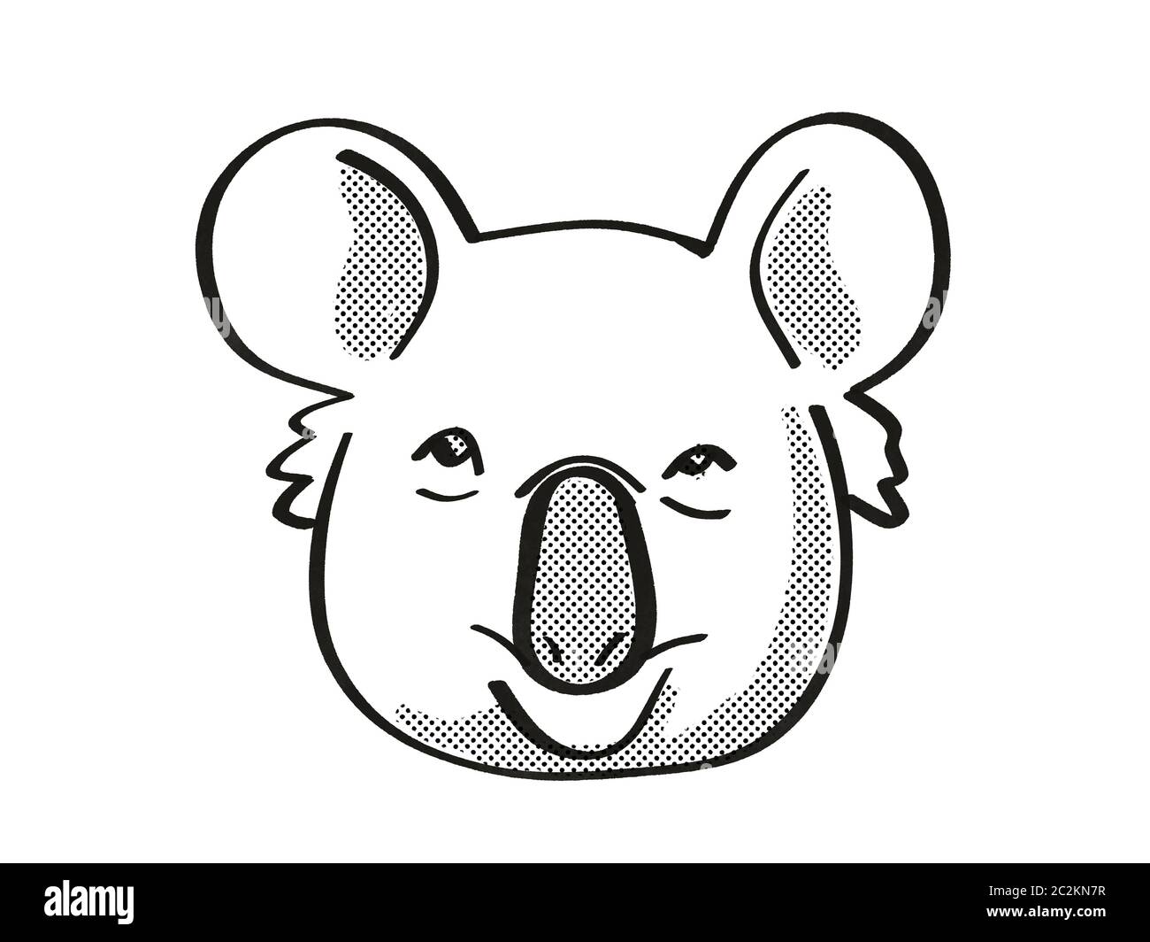 Koala portrait hand drawn sketch illustration, Wild animals Stock Vector  Image & Art - Alamy