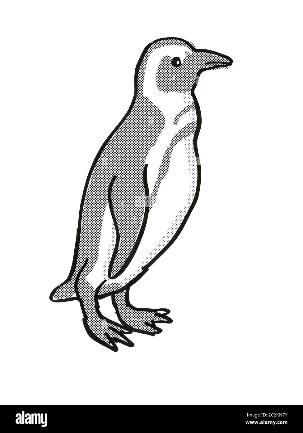 Black white cartoon drawing penguin hi-res stock photography and images -  Alamy