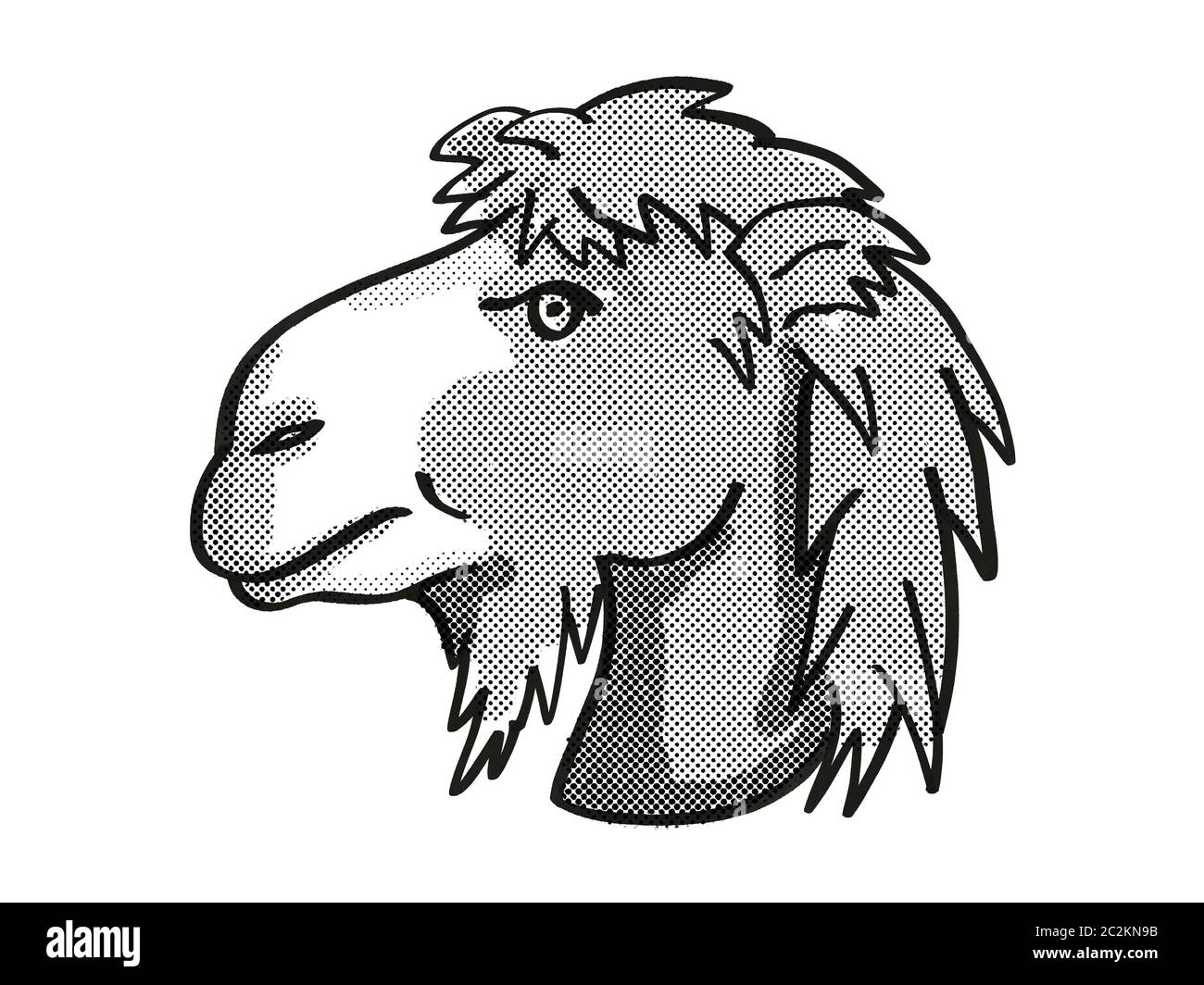 Artwork camel black white drawing hi-res stock photography and images