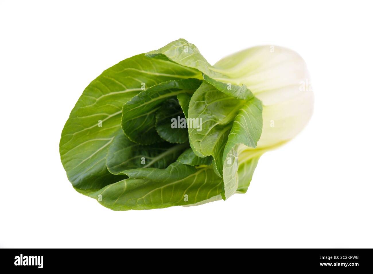Pak choi vegetables isolated on a white background Stock Photo