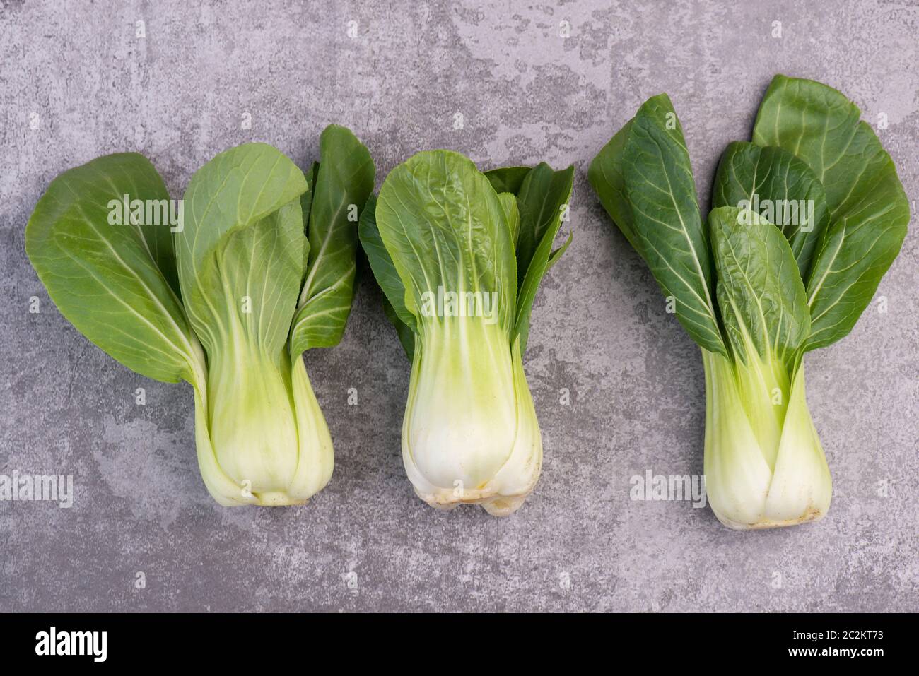 Pak Choi on a grey textured background, empty copy space Stock Photo