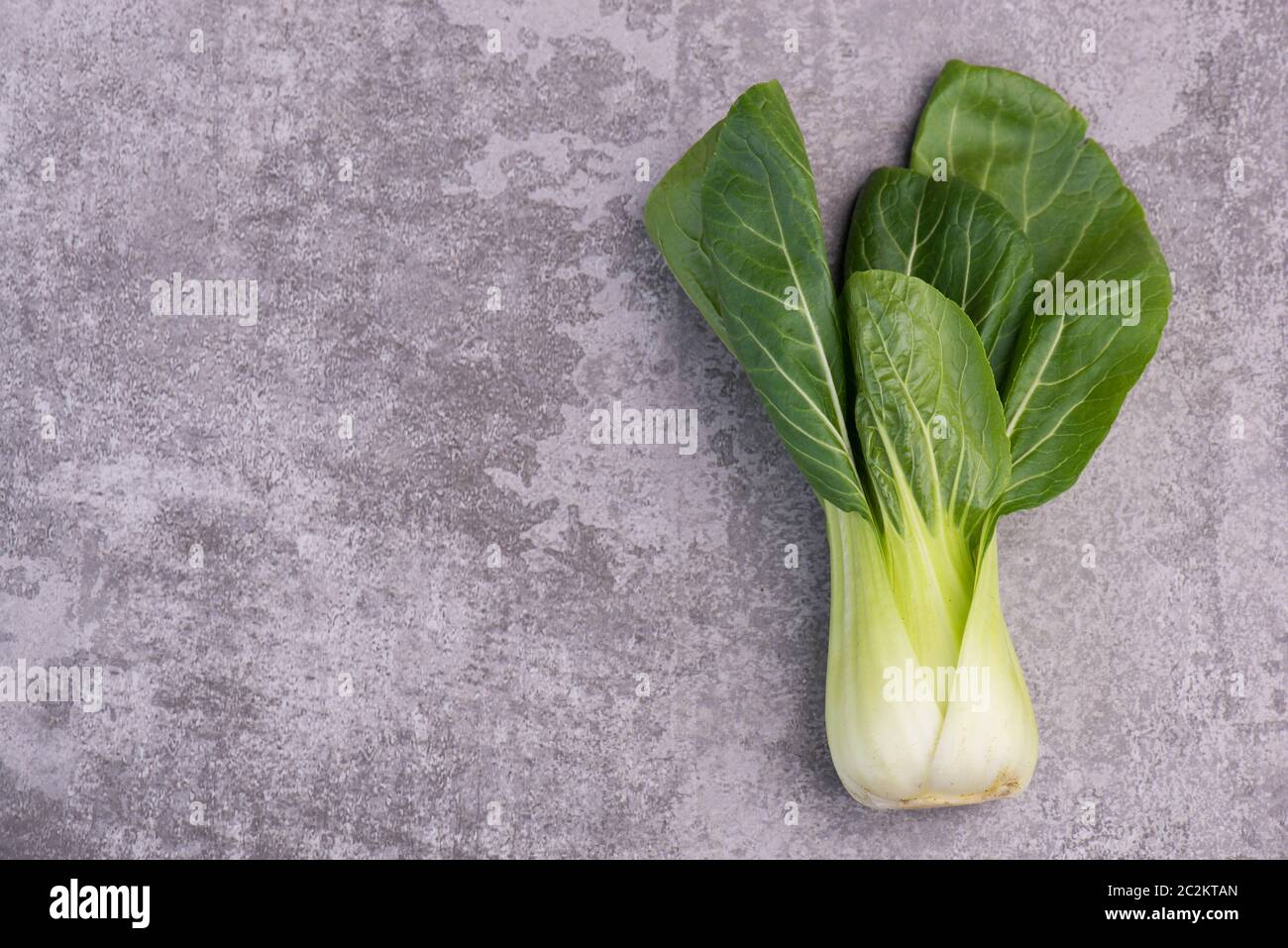 Pak Choi on a grey textured background, empty copy space Stock Photo