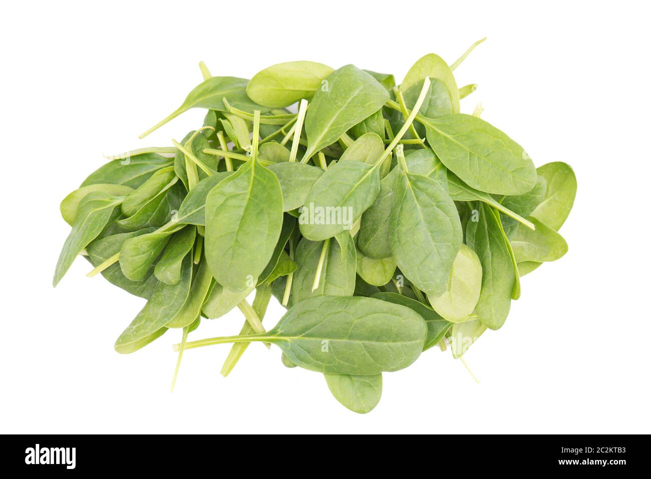 Fresh spinach leaves isolated on a white background Stock Photo