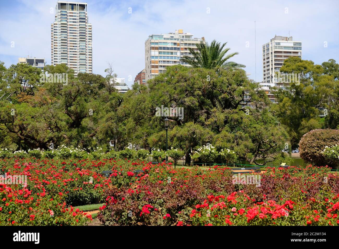 Argentina Buenos Aires - Rose garden in Urban park Bosques de Palermo - Palermo Woods Stock Photo
