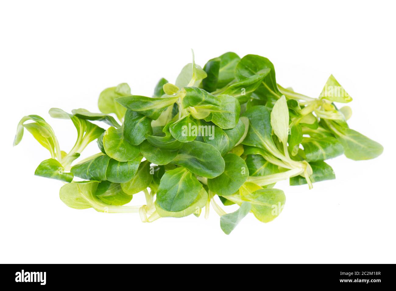 Lambs lettuce isolated on a white background Stock Photo