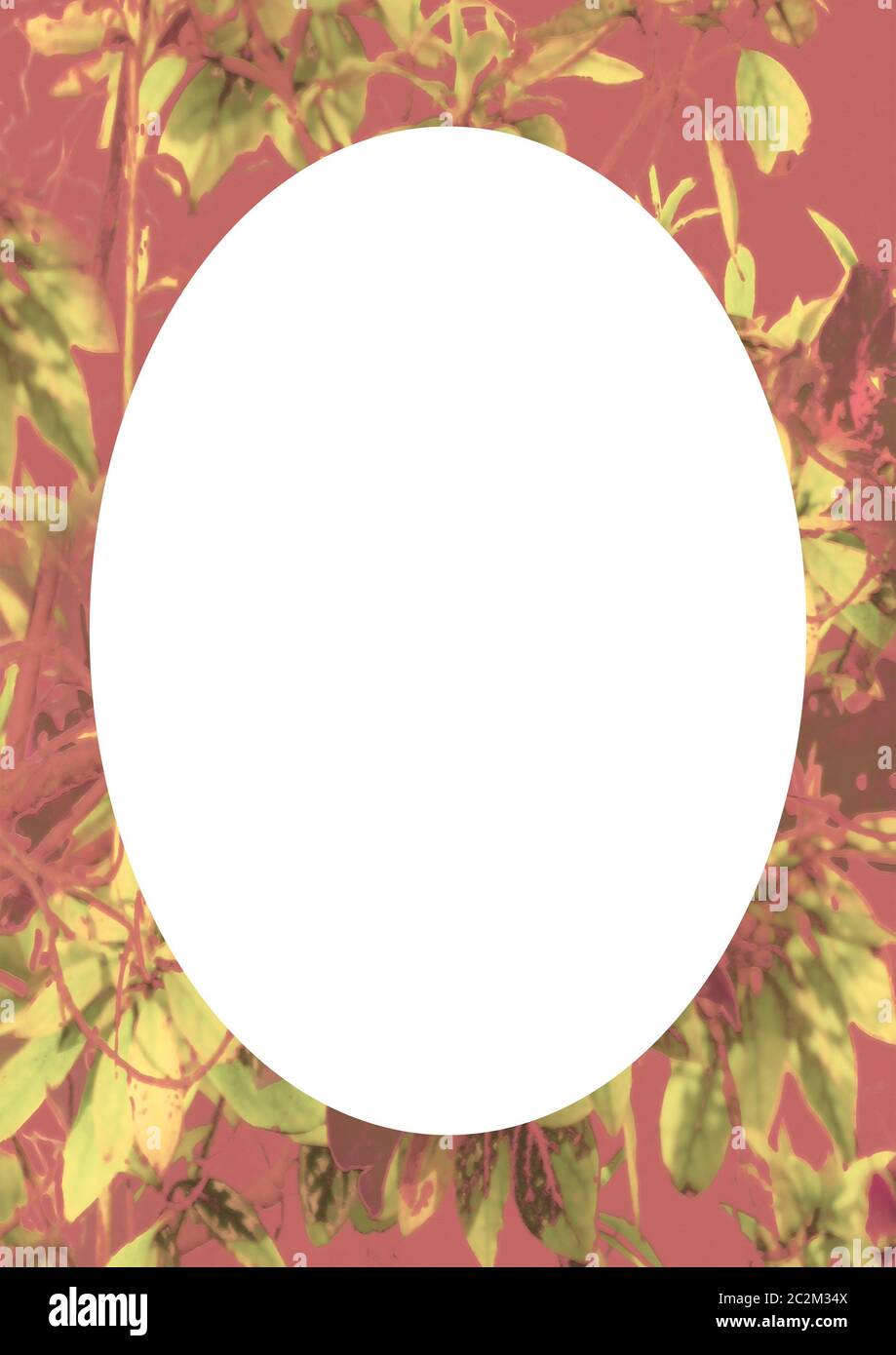 Circle Frame Background with Decorated Borders Stock Photo