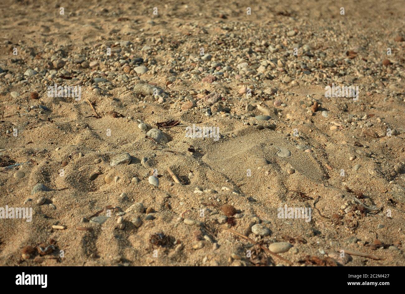 Texture of a warm colored sand rich in pebbles and debris carried by the sea. Stock Photo
