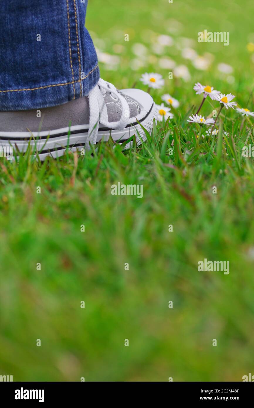 Child boy or girl feet in jeans and sneakers standing on green grass of lawn with daisies spring concept Stock Photo