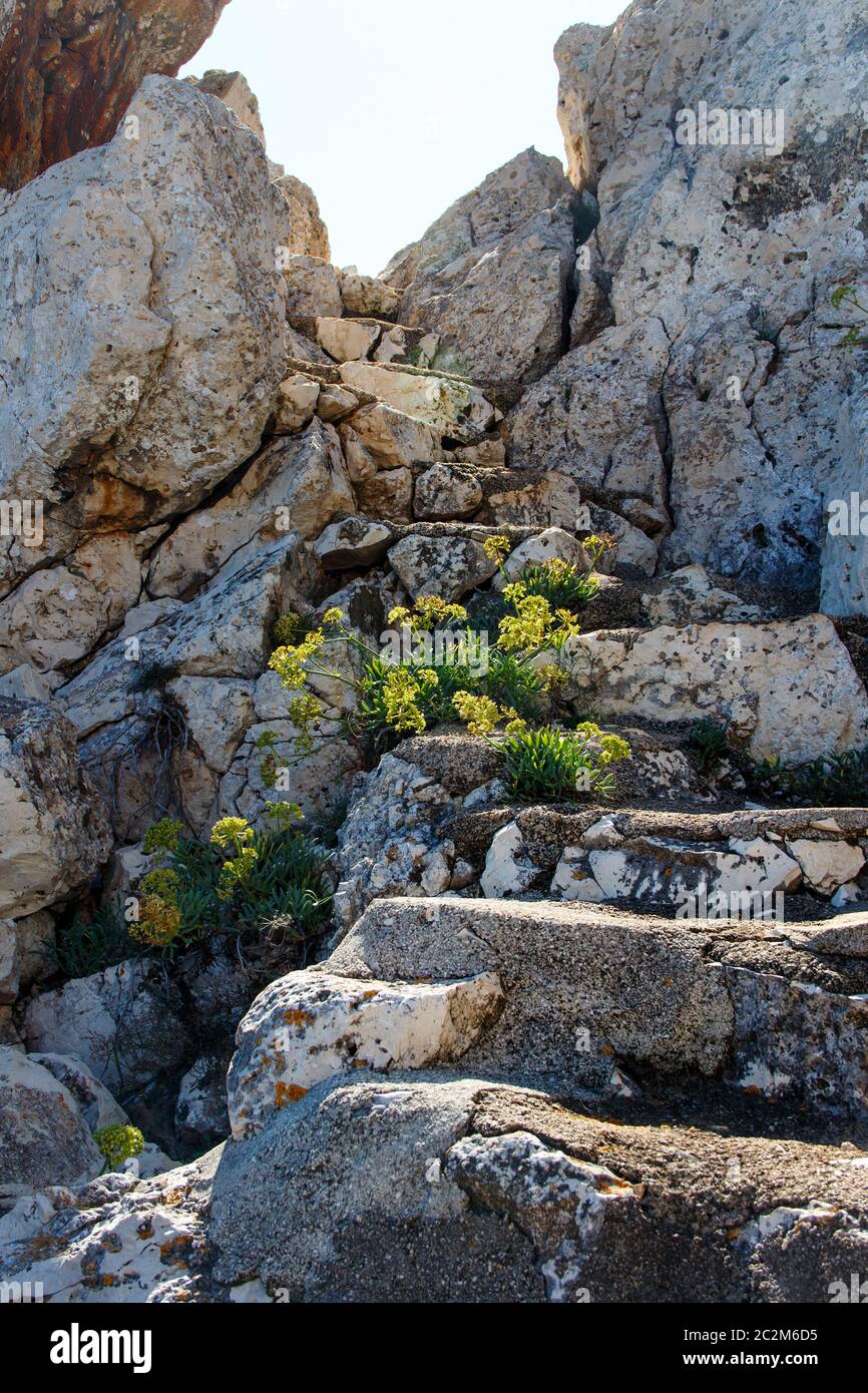 Stairs in the rock,  Gagliano del Capo, Puglia, Italy Stock Photo