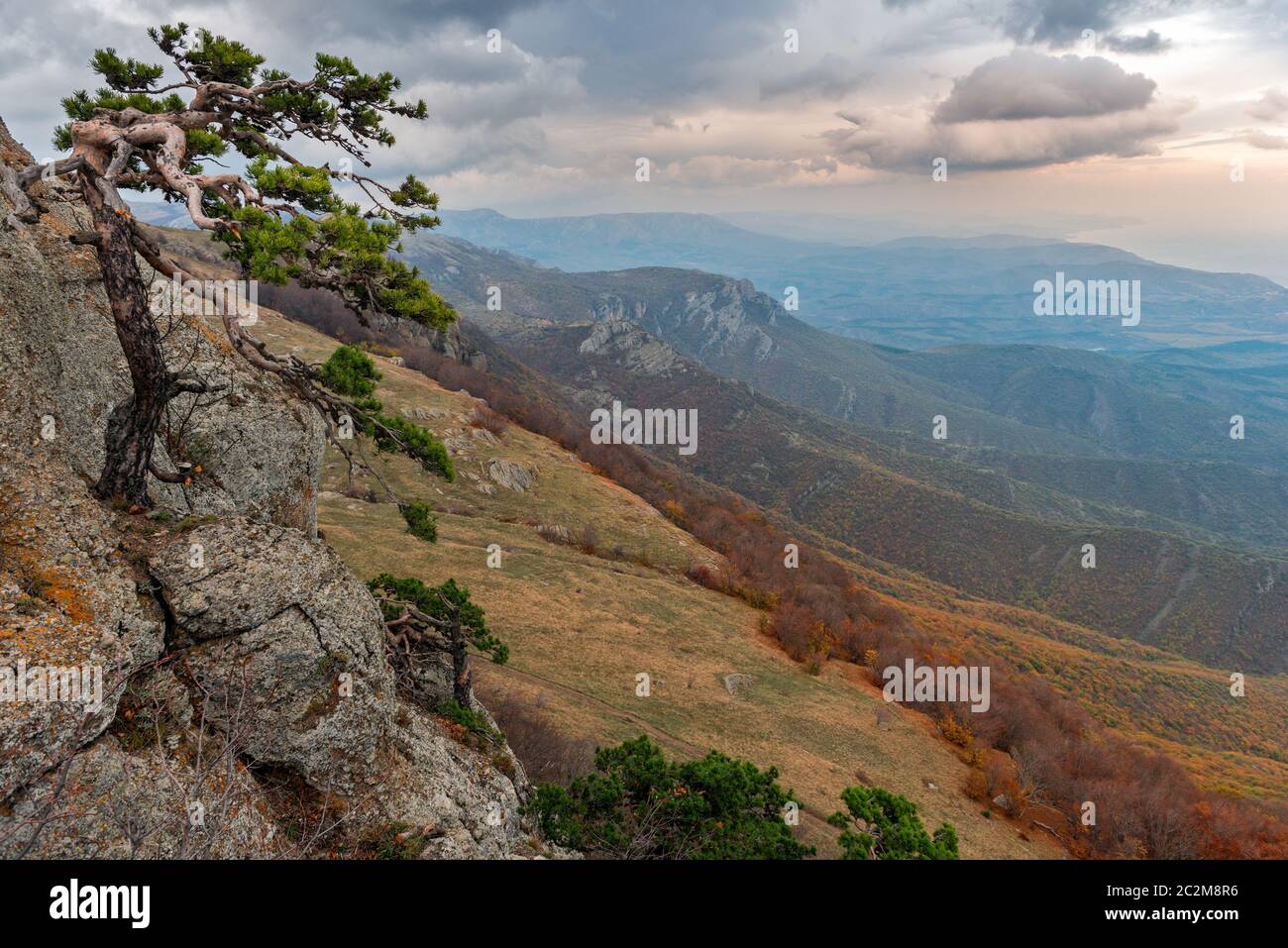 Lonely tree on the rock above autumn valley Stock Photo - Alamy