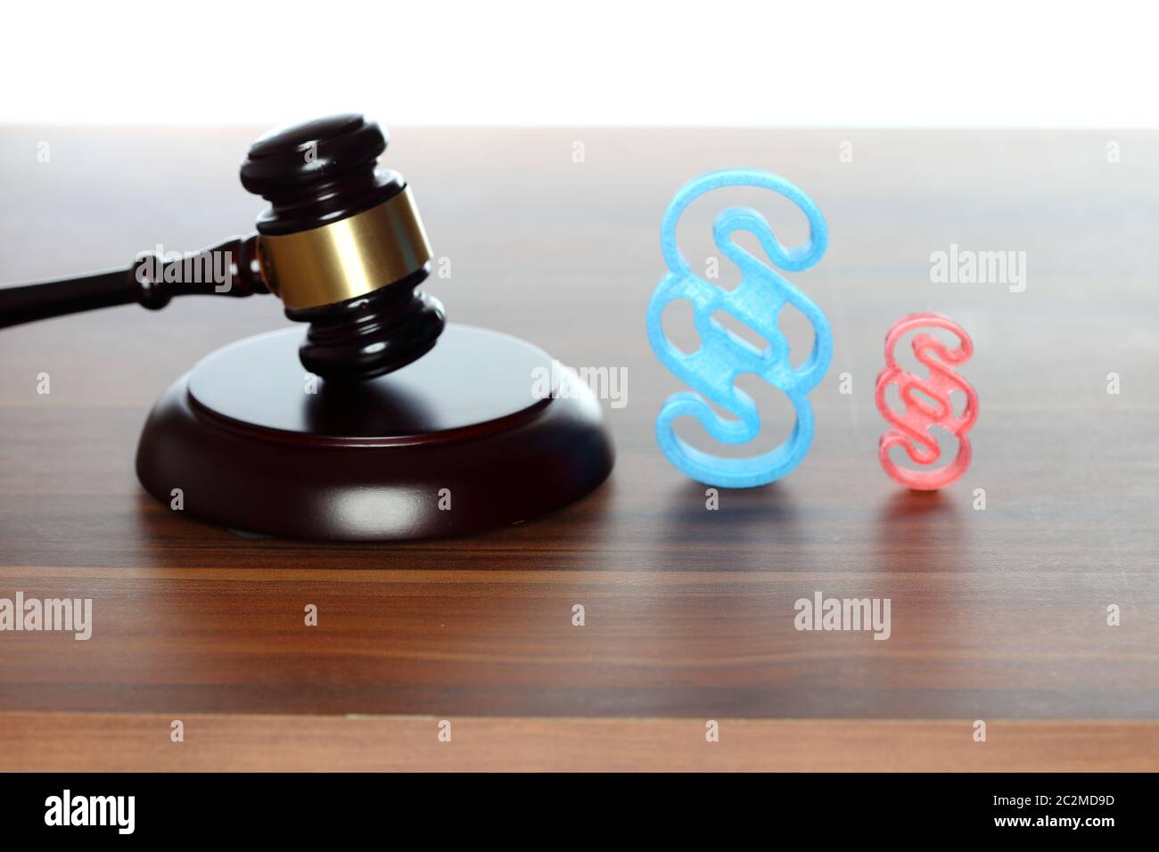 paragraph and gavel, symbolic law and rights Stock Photo
