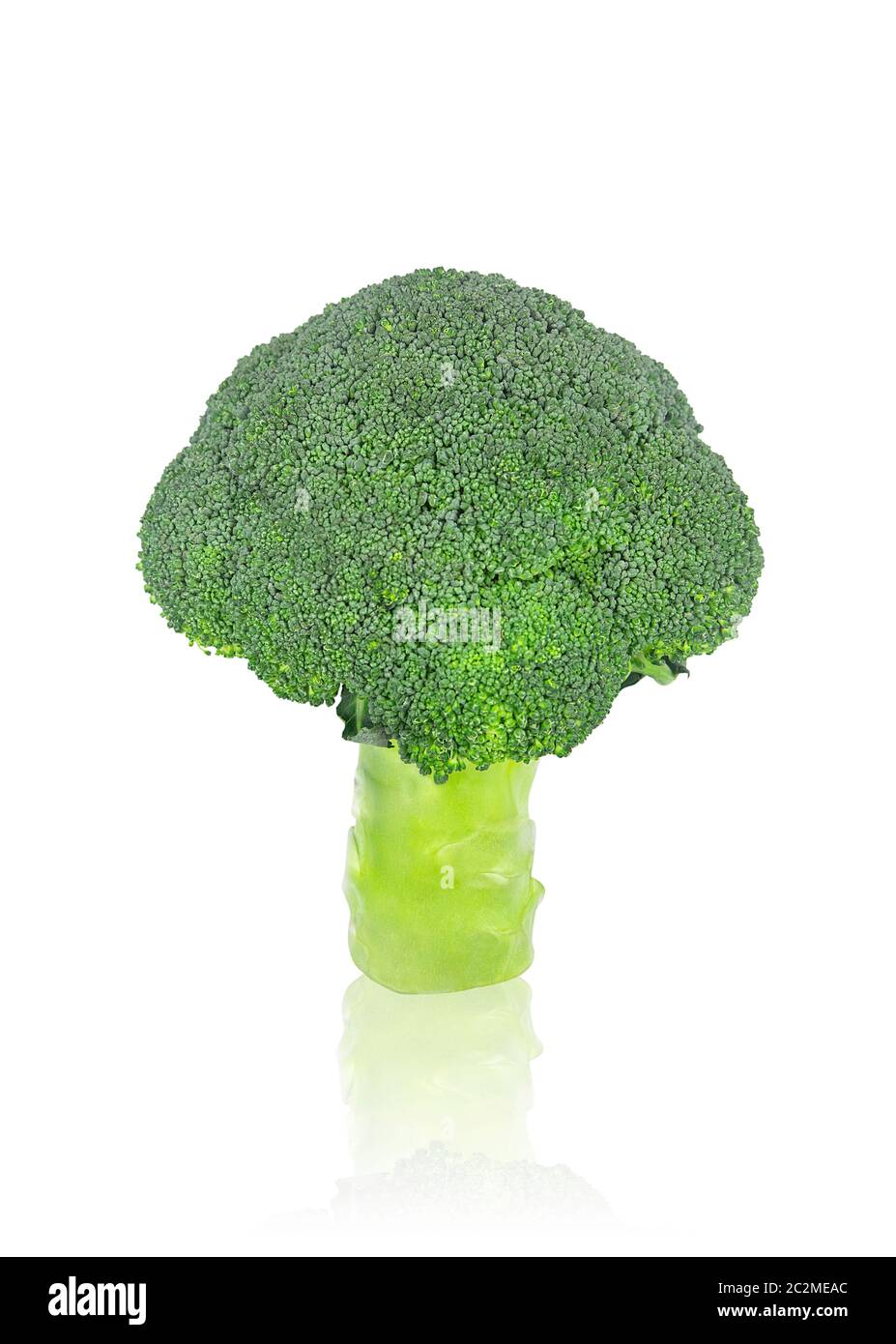 One head of fresh organic broccoli on white isolated background with