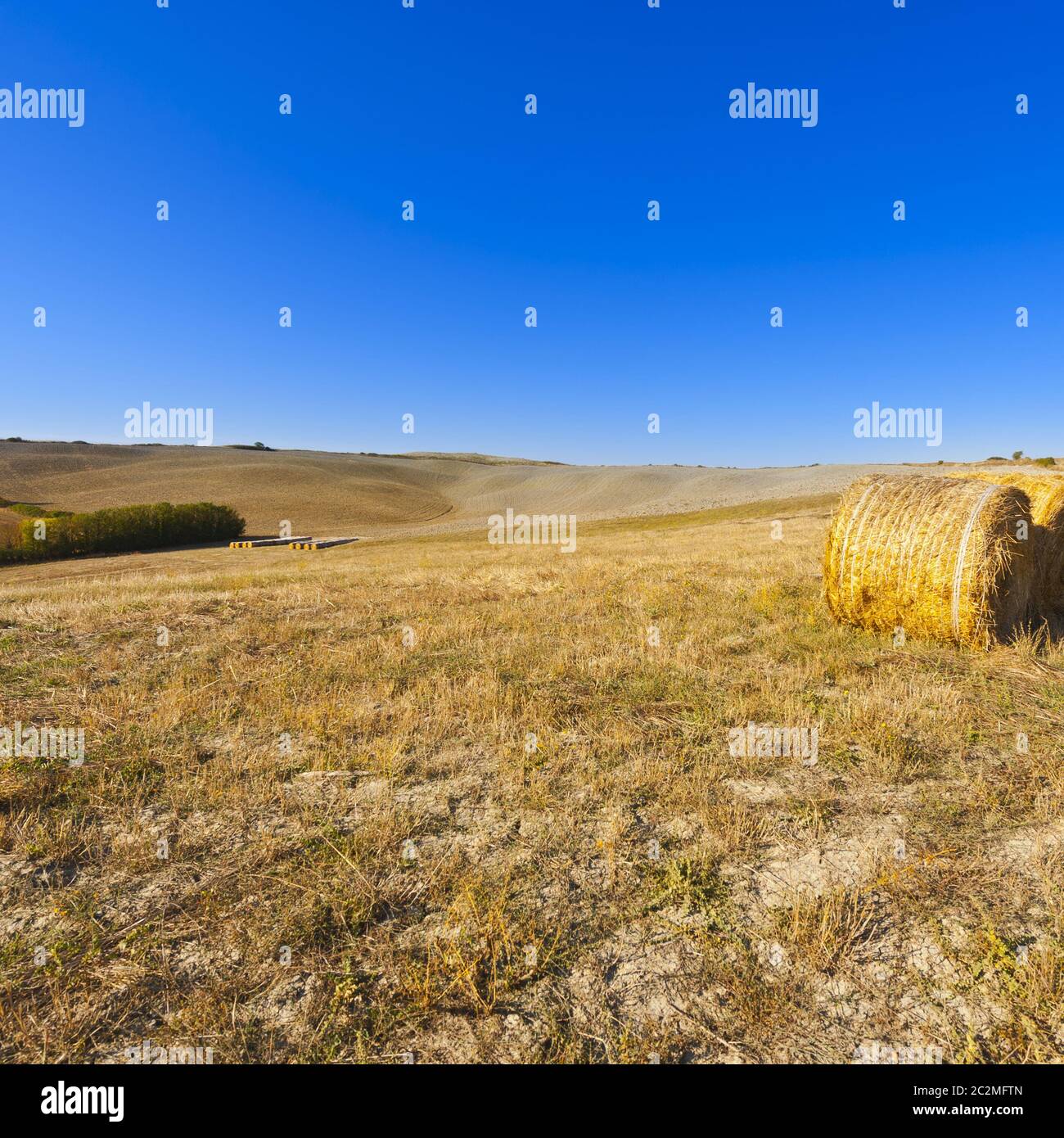 Landscape with Straw Bales Stock Photo - Alamy