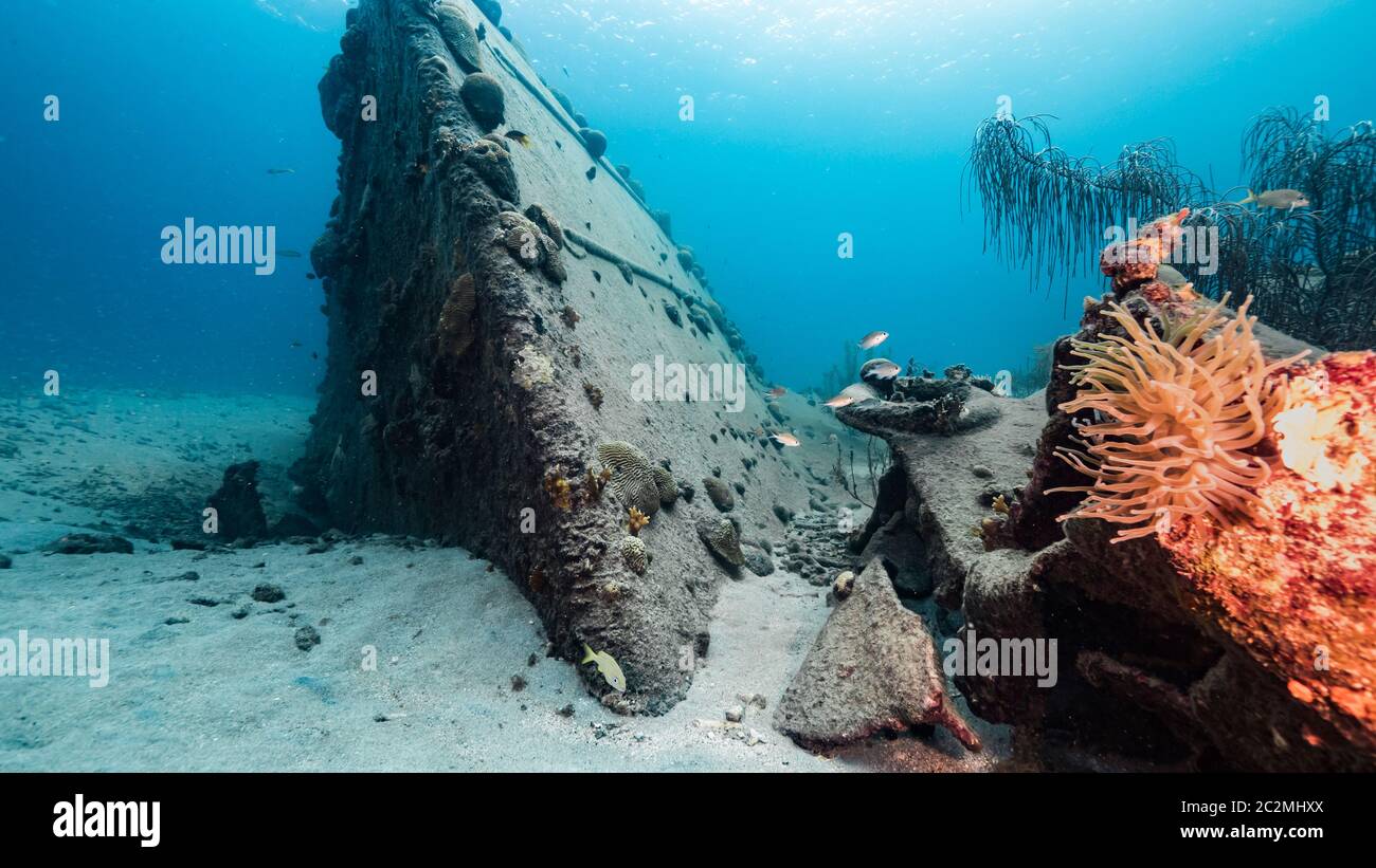 Ship wreck 'Black Sand Wreck' in coral reef of Caribbean sea around Curacao Stock Photo