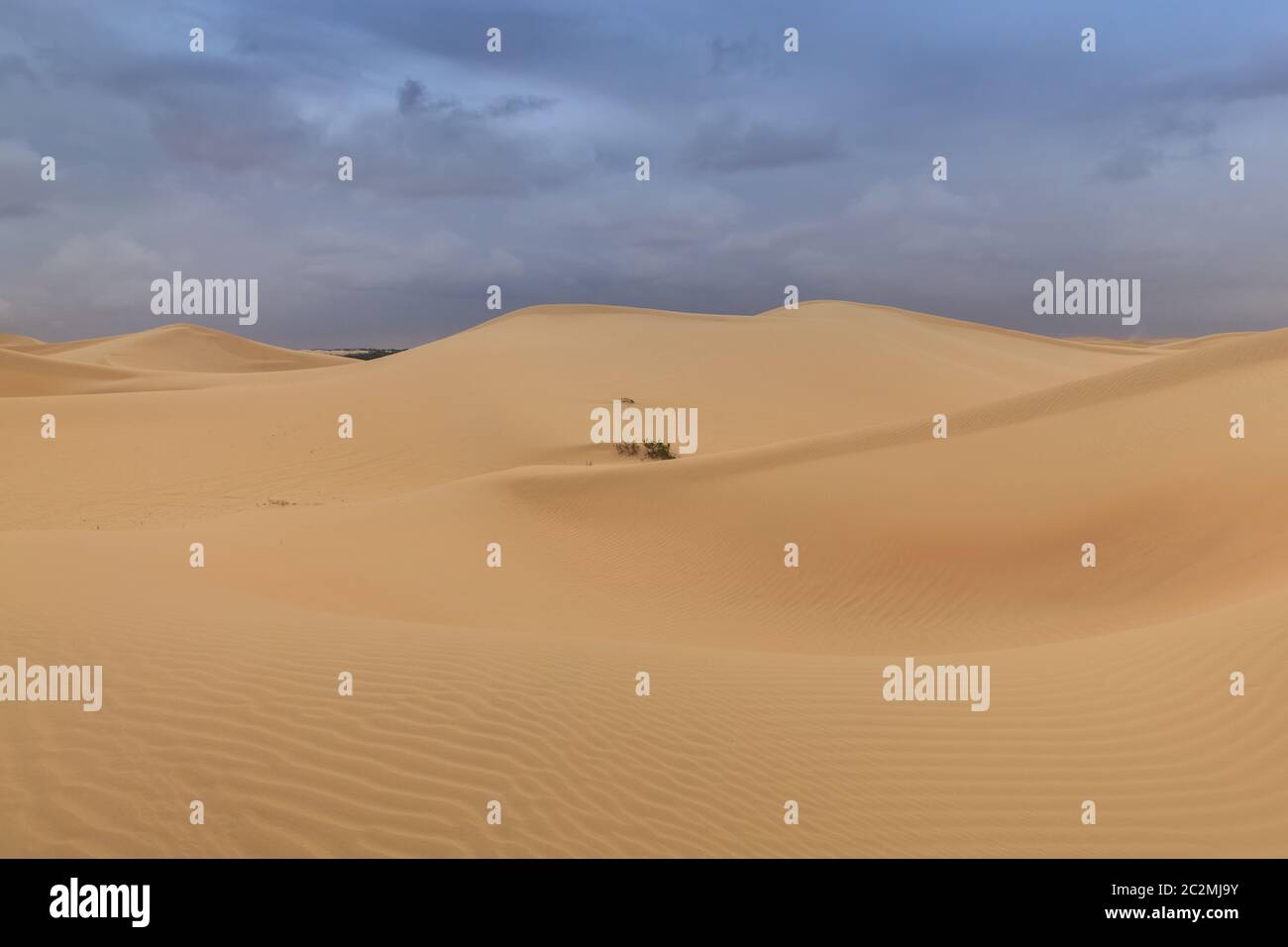 sand dunes in Abu Dhabi desert. United Arab Emirates Stock Photo - Alamy