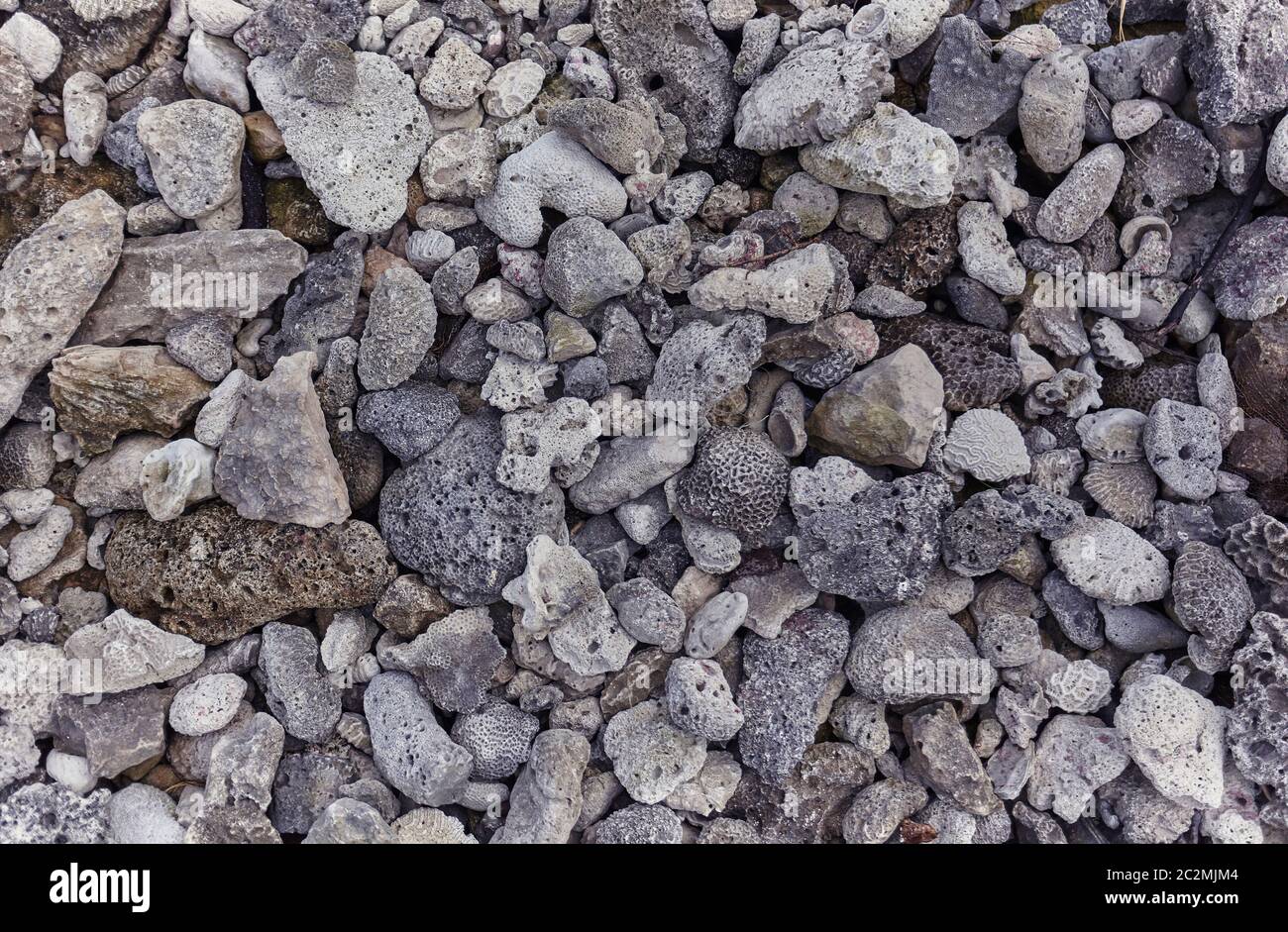 Magnificent very high resolution texture of some porous millenary rocks