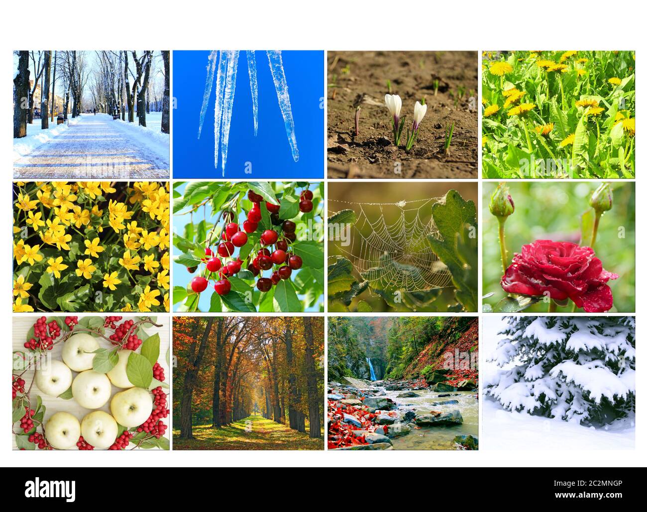Blank with different twelve colored images of nature for calendar. Ready photo for calendar. Picture Stock Photo