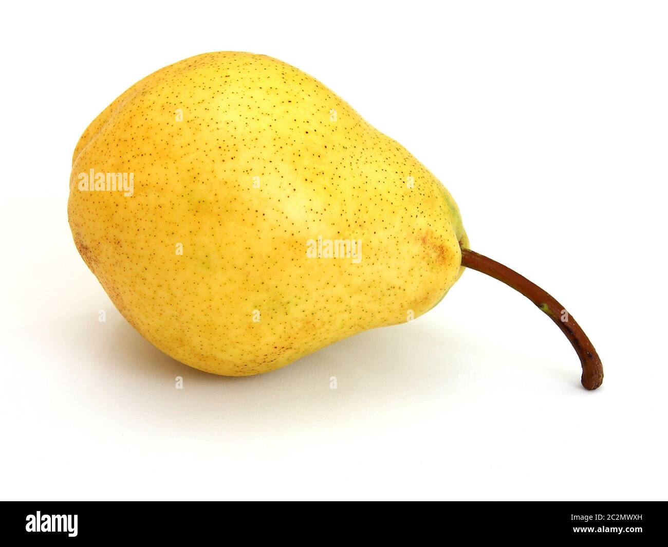 A single pear Stock Photo