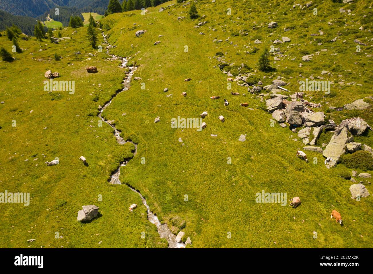 photo taken from above with a drone of a green pasture on the dolomites ...