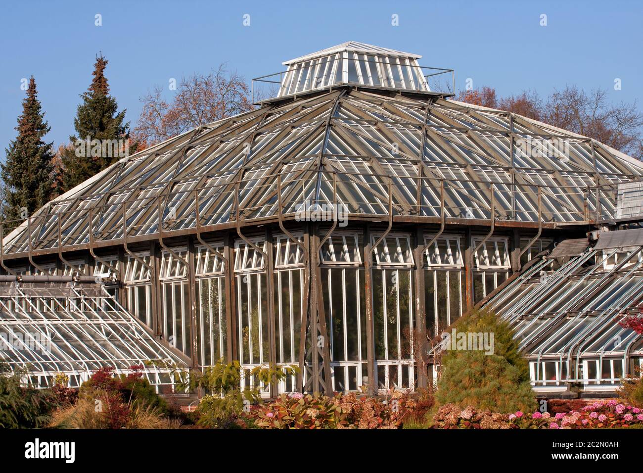 Botanical Garden 002. Berlin Stock Photo