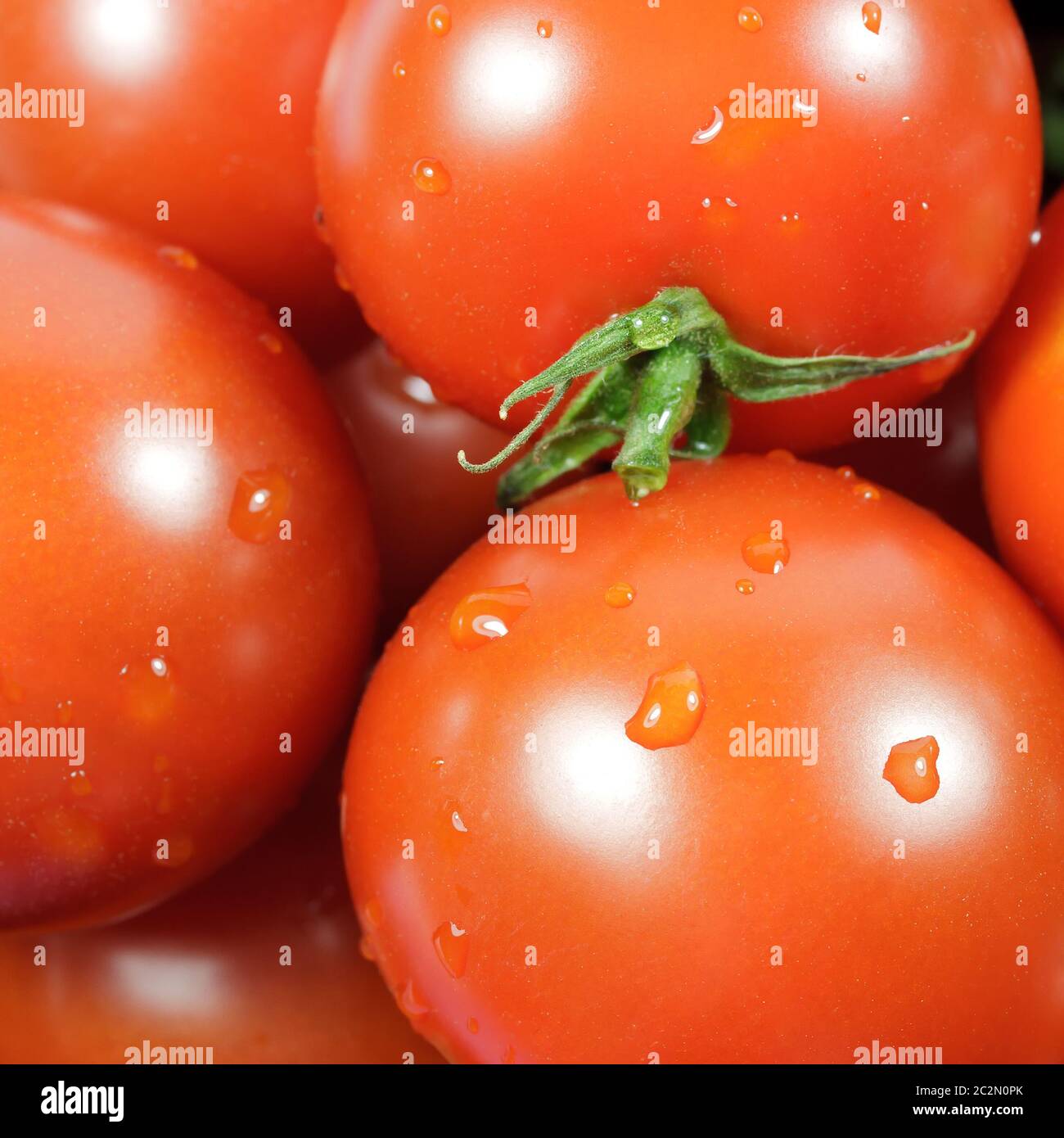 Tomatoes 007 Stock Photo