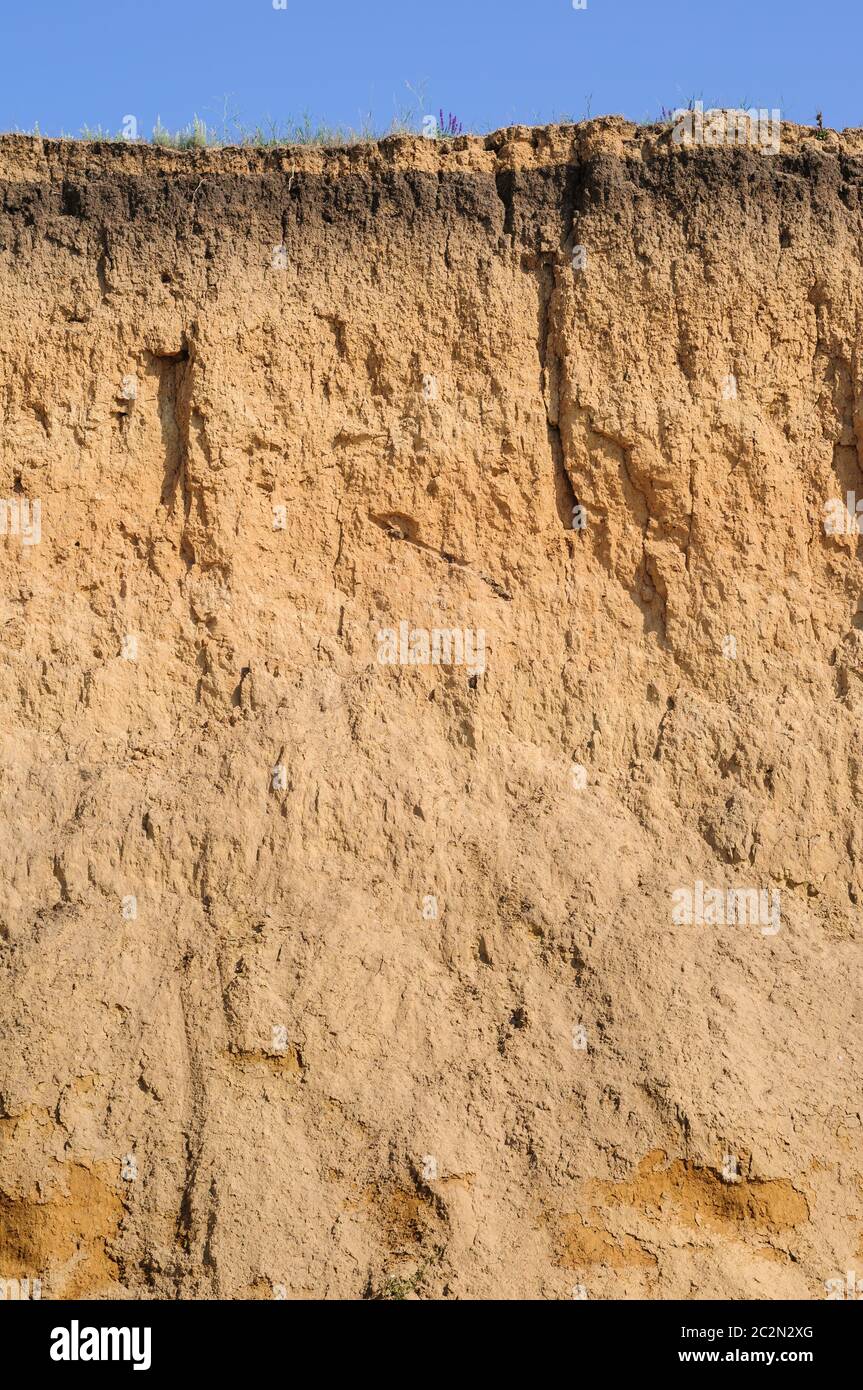 Cut of soil layers visible and grass on top Stock Photo