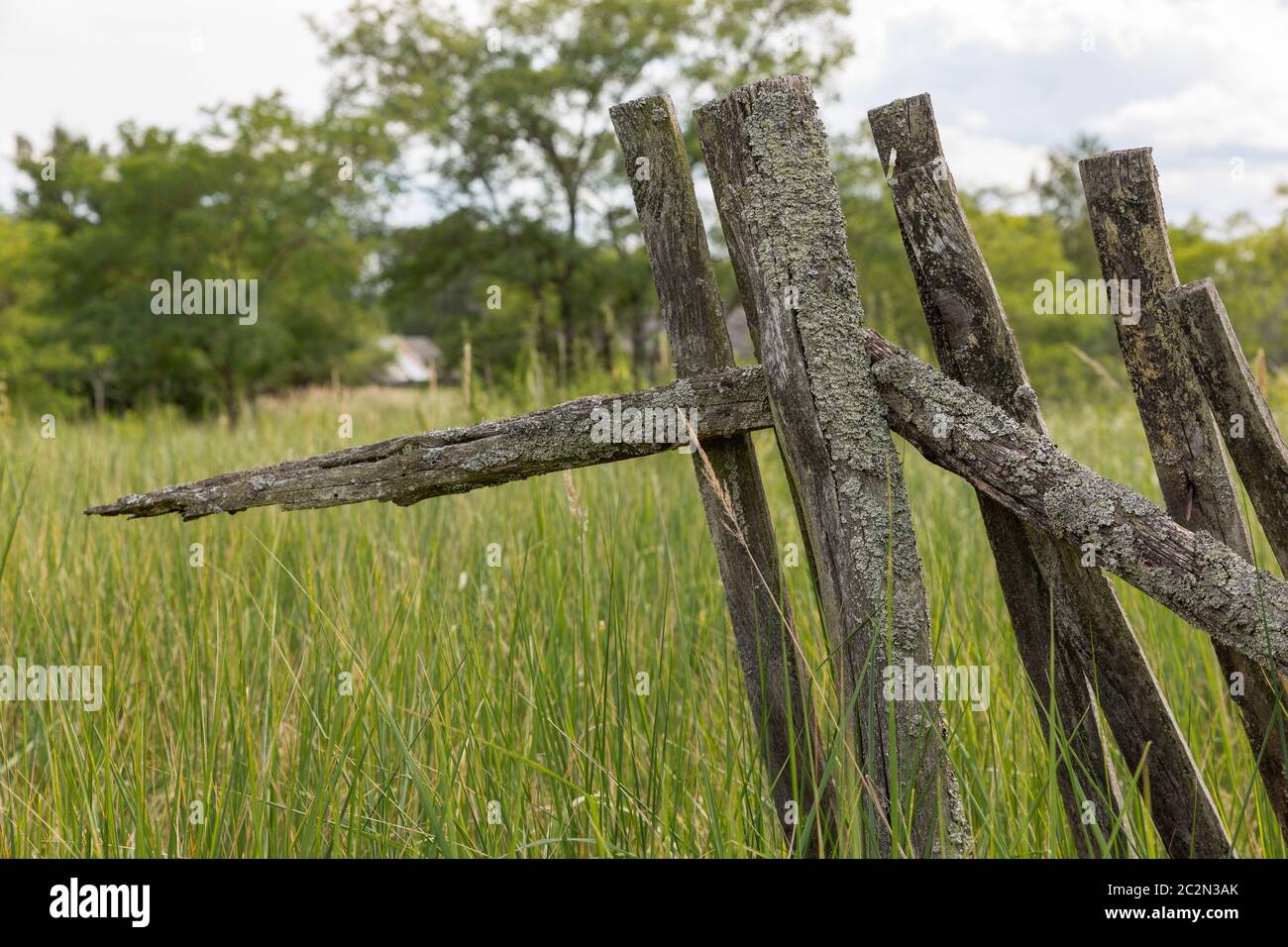 Part of a weathered wooden fence overgrown with grass Stock Photo - Alamy