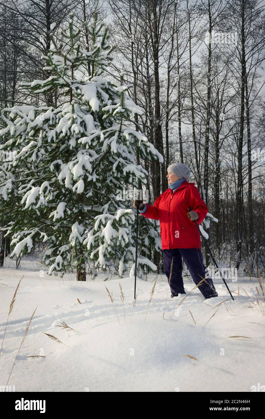 Woman, europeans, winter in the woods Stock Photo