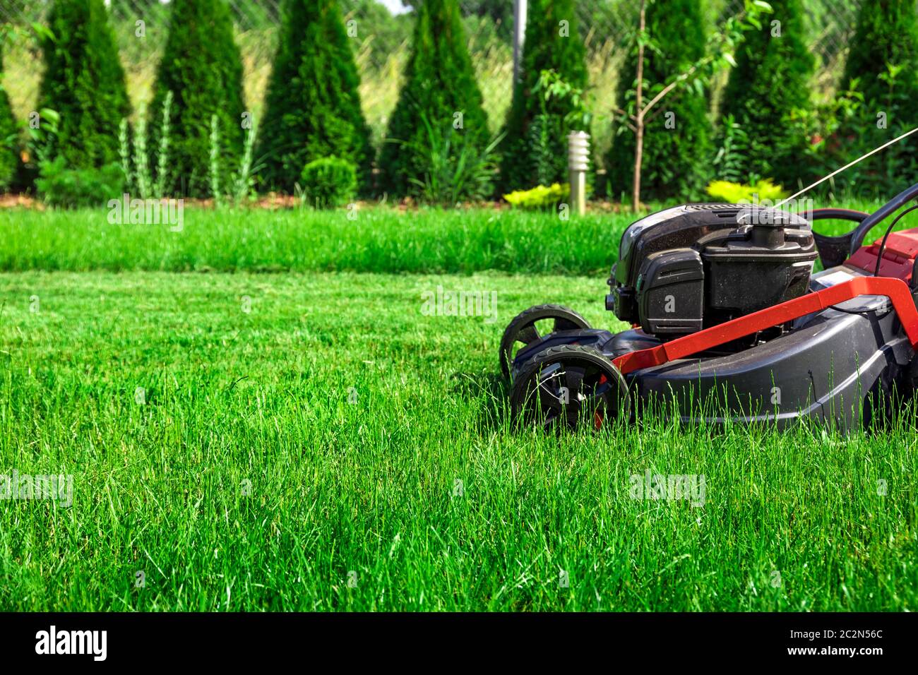 Lawn mower cutting tall green grass in backyard Stock Photo