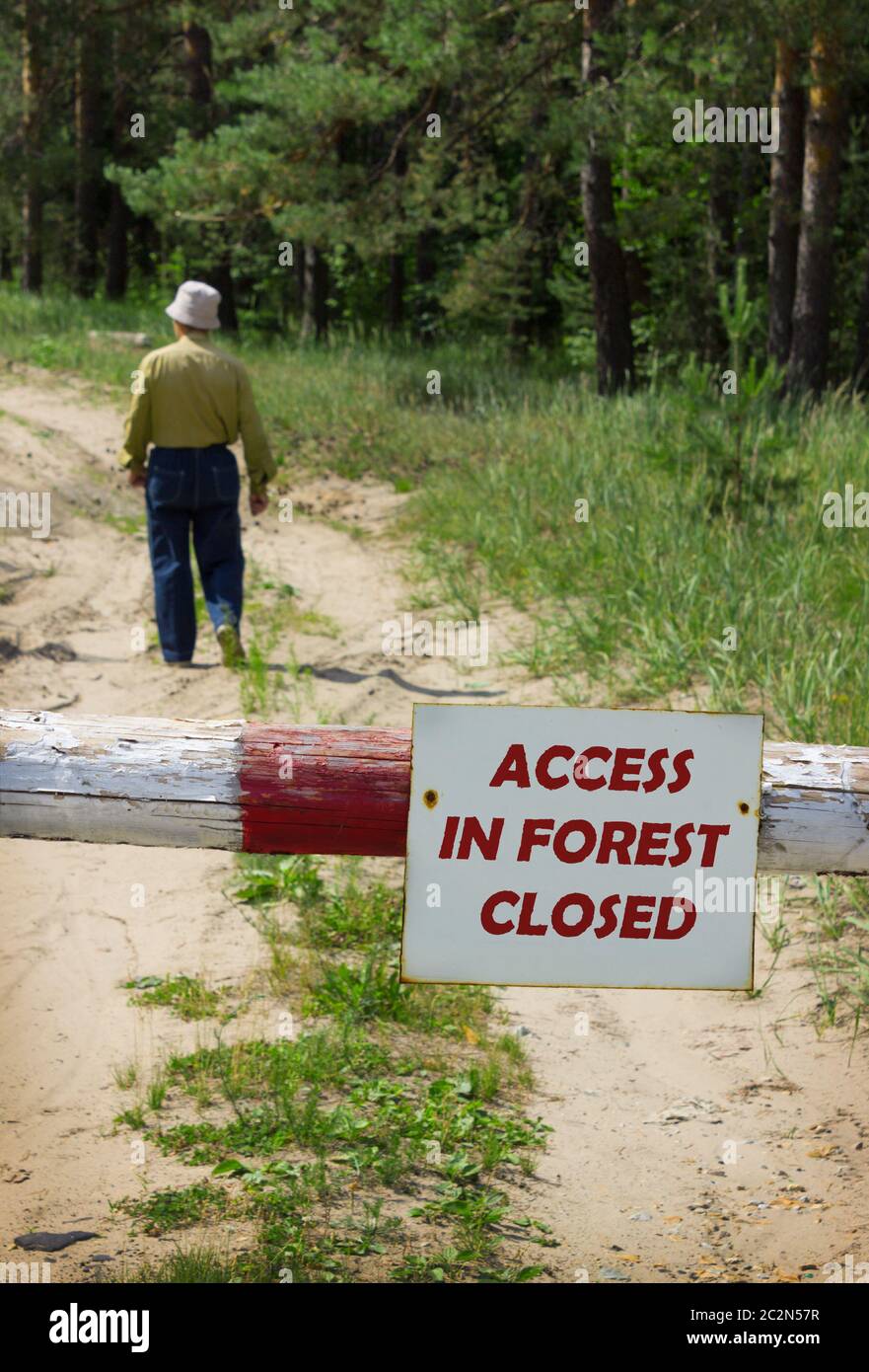 Man goes into forest in fire-dangerous period, ignoring ban Stock Photo