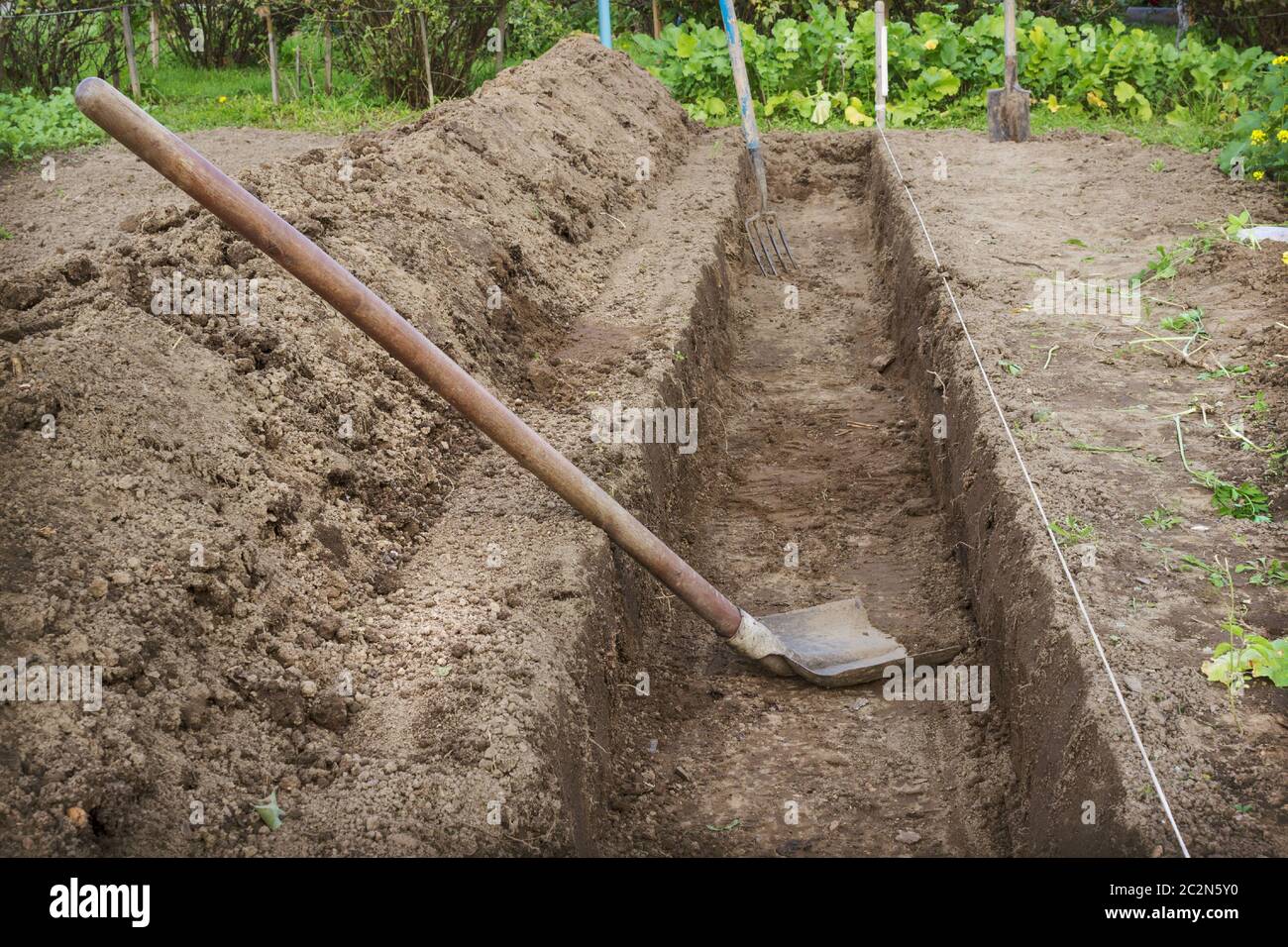 Two Colours of Trench
