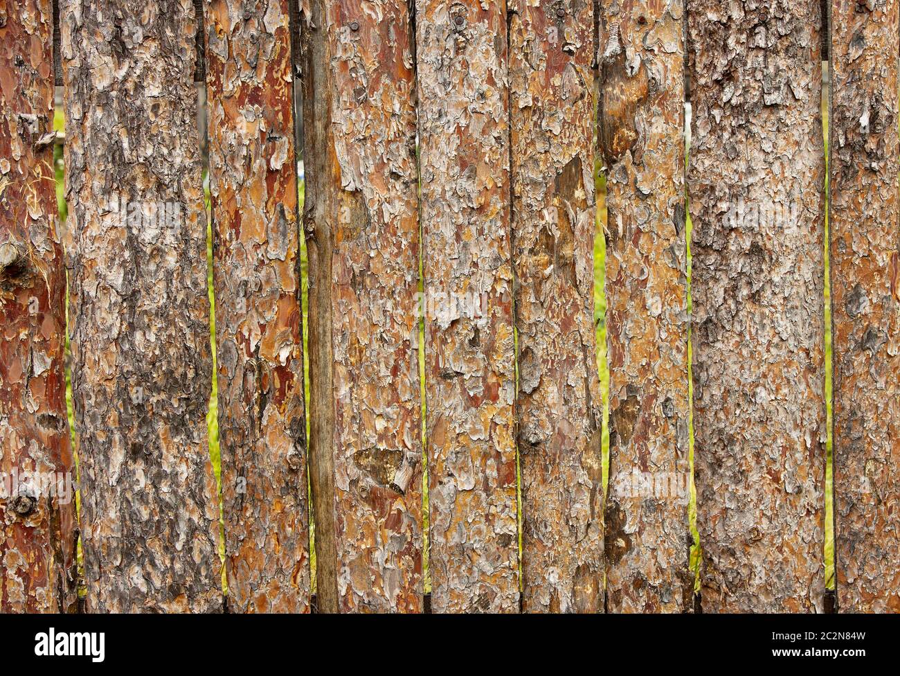 Fence from slab pines Stock Photo