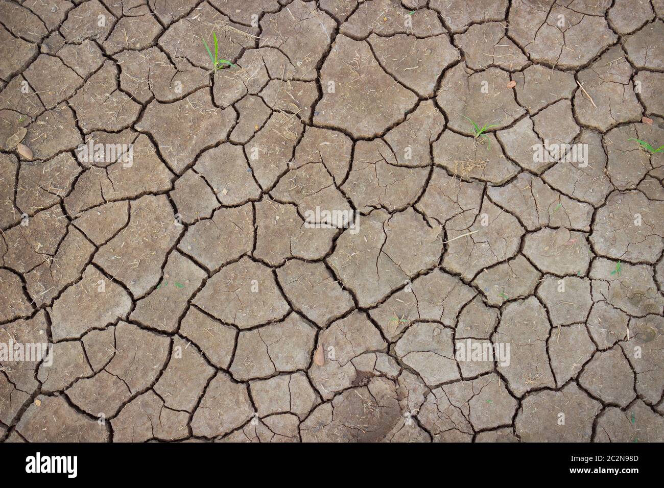 Soil cracked by the scorching sun Stock Photo