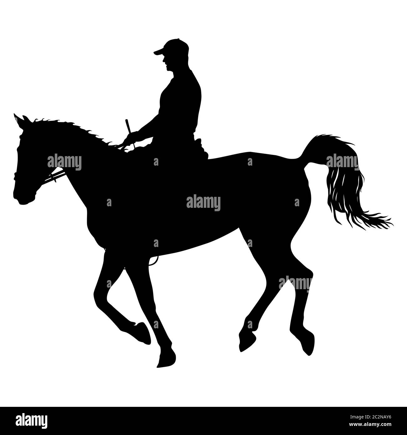 vector silhouette of horse and jockey Stock Photo
