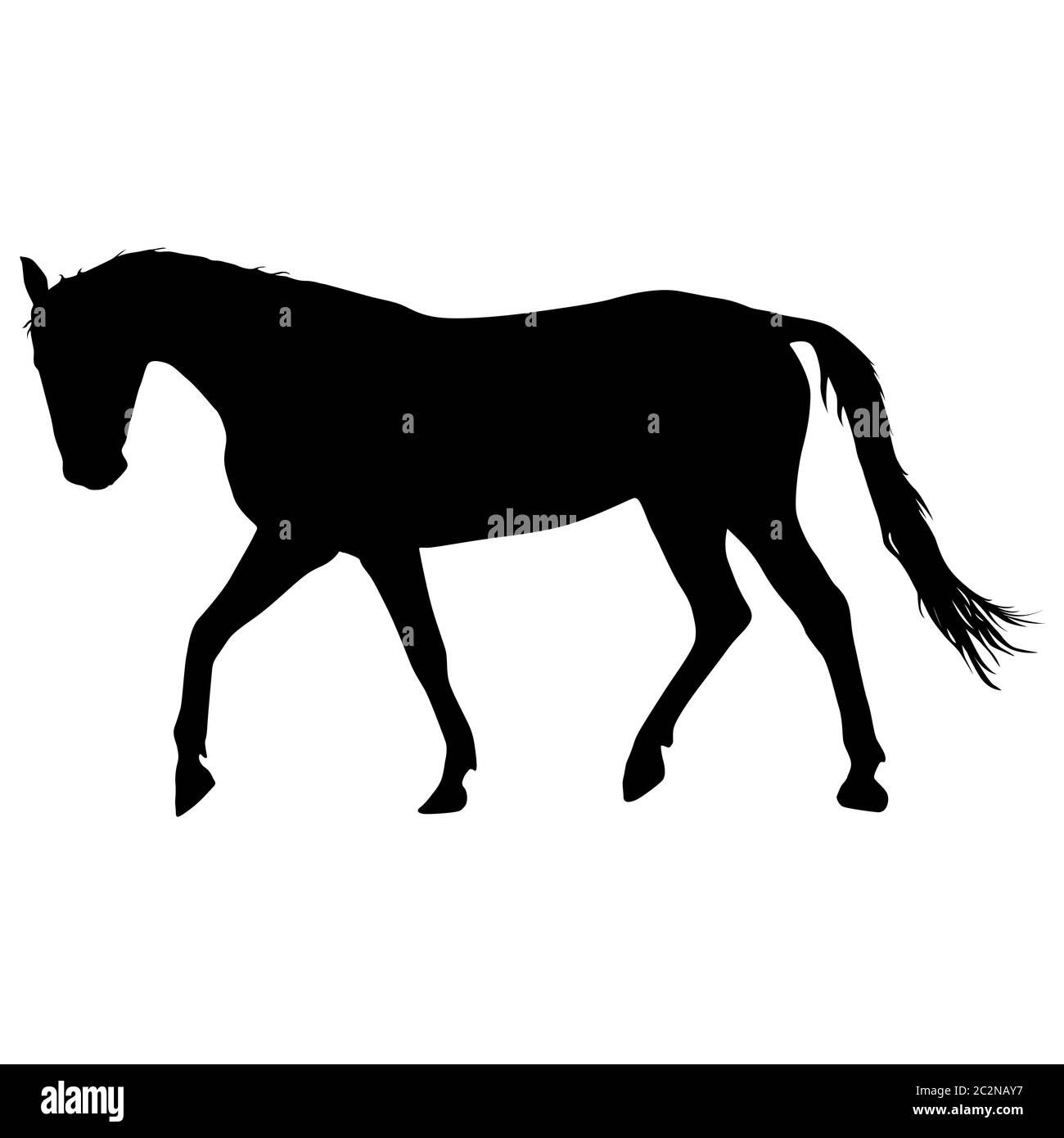 silhouette of black mustang horse vector illustration Stock Photo