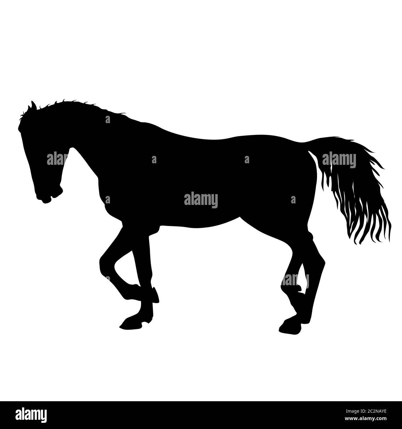 silhouette of black mustang horse vector illustration Stock Photo
