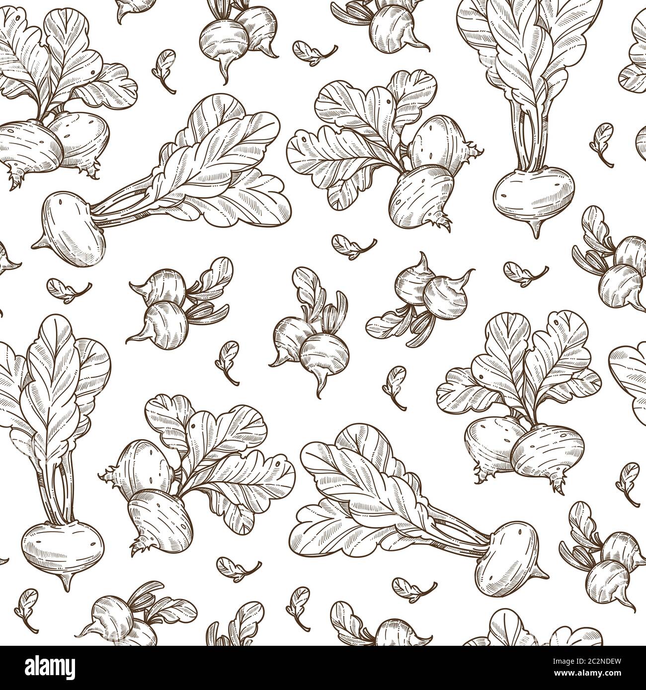 Beetroot vegetable with leaves, ripe veggie seamless pattern Stock Vector