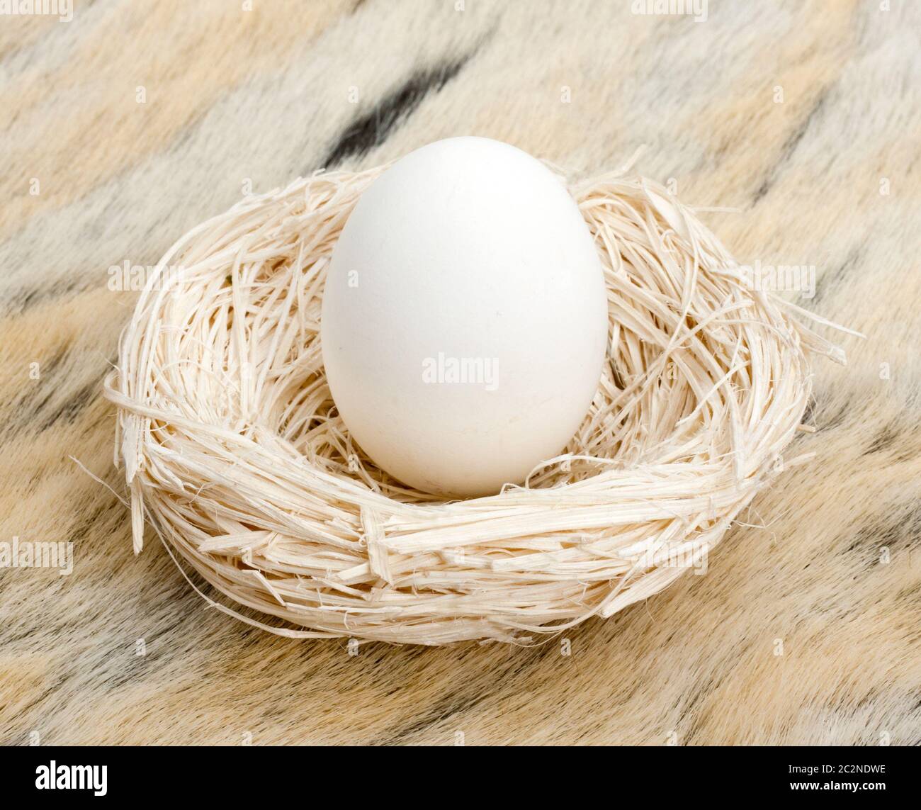 Big egg standing in small straw nest Stock Photo - Alamy