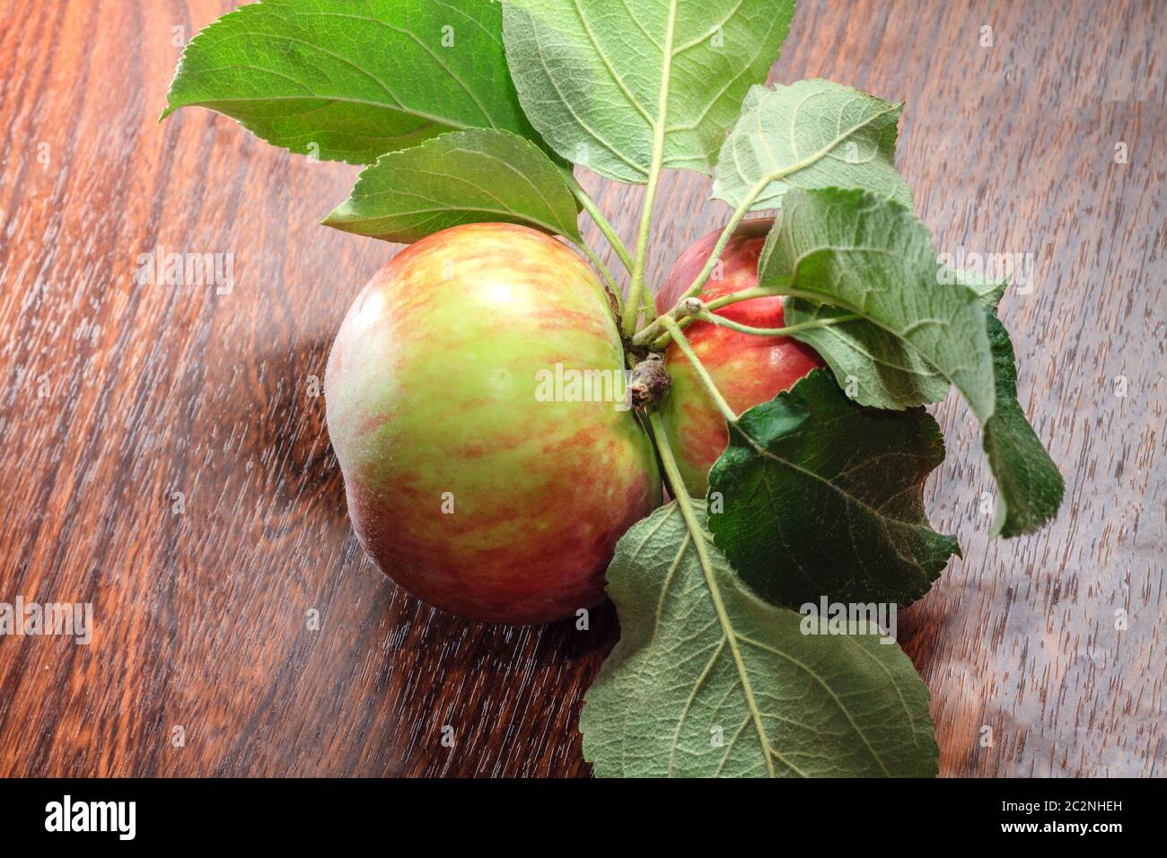 Two Riped Apple Two ripe apples Stock Photo - Alamy