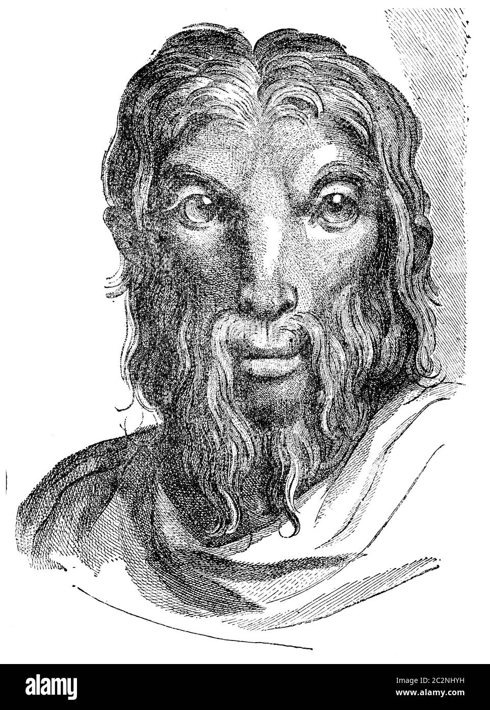 Goat, vintage engraved illustration. Earth before man 1886.black,old,engraved,ancient,antique