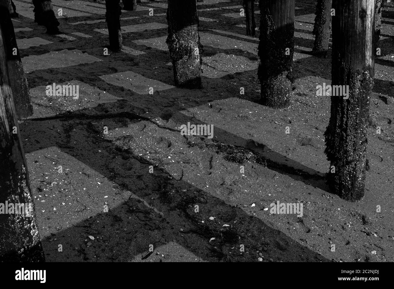 Abstract square patterns of shadows of wharf posts on sand below in black and white. Stock Photo
