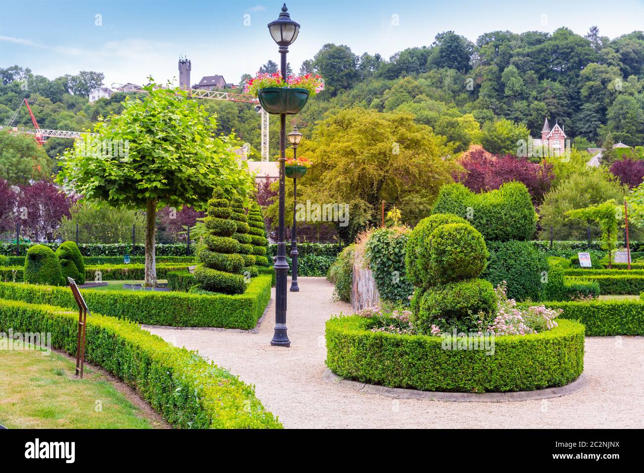 Bushes in different shapes, summer park in Europe. Professional gardening,  european green landscape, garden plants decoration Stock Photo - Alamy