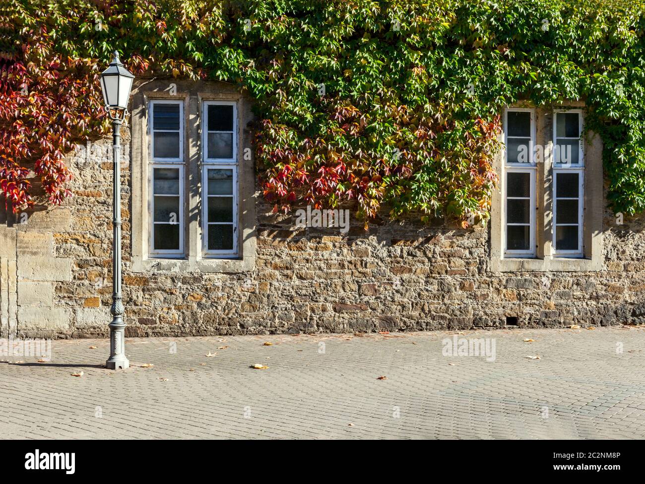 Outdoor view of green ivy fixed at the corner of an ancient stone wall house. Stock Photo