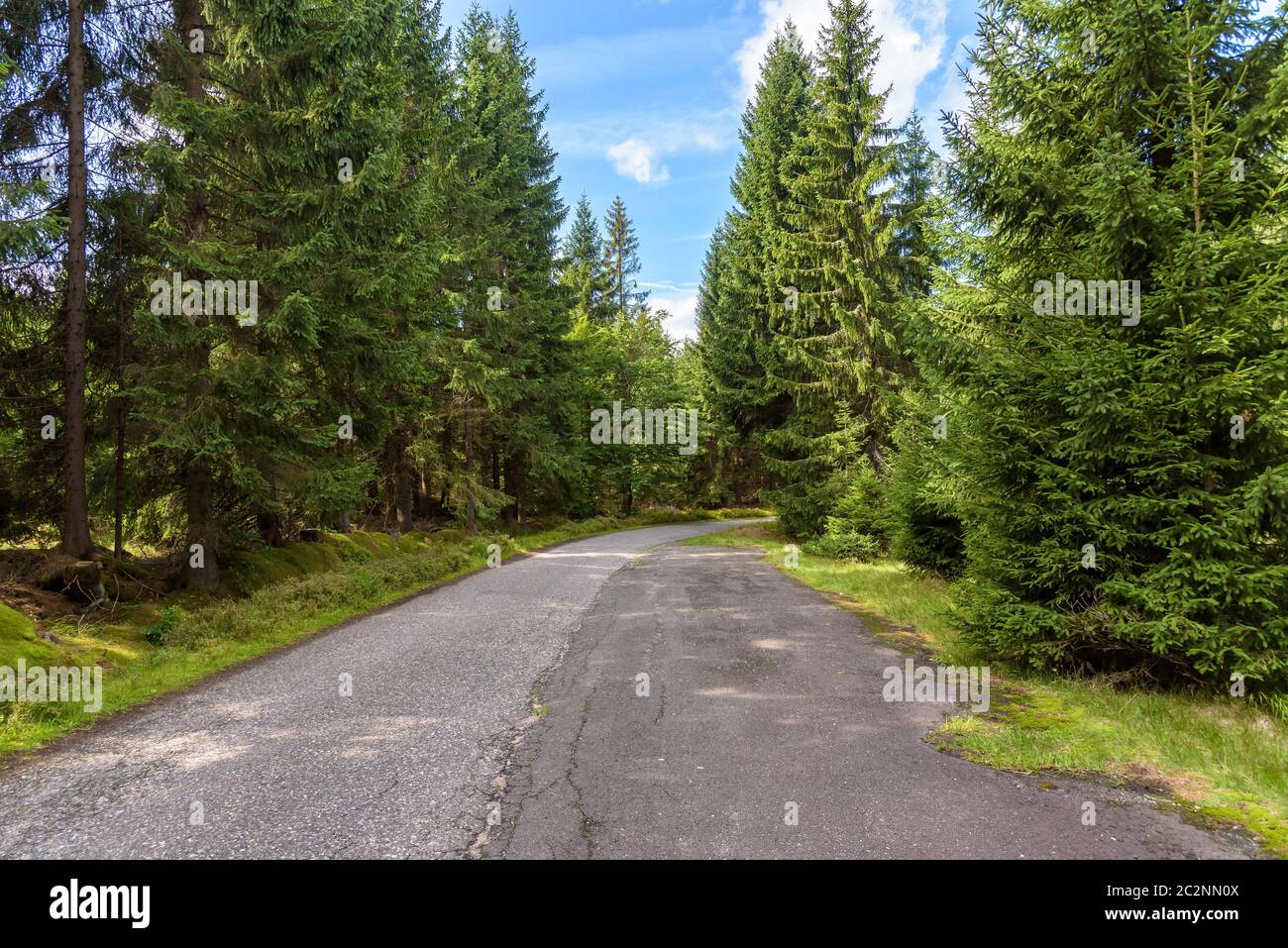 Forest road to Orle shelter in Jizera Mountains, Jakuszyce, Poland Stock Photo