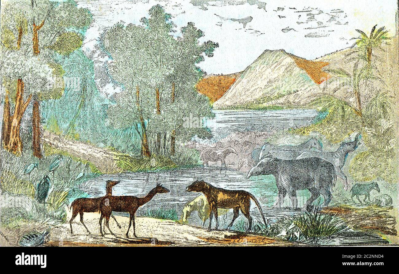 Ideal landscape of the eocene period, vintage engraved illustration. From Natural Creation and Living Beings. Stock Photo
