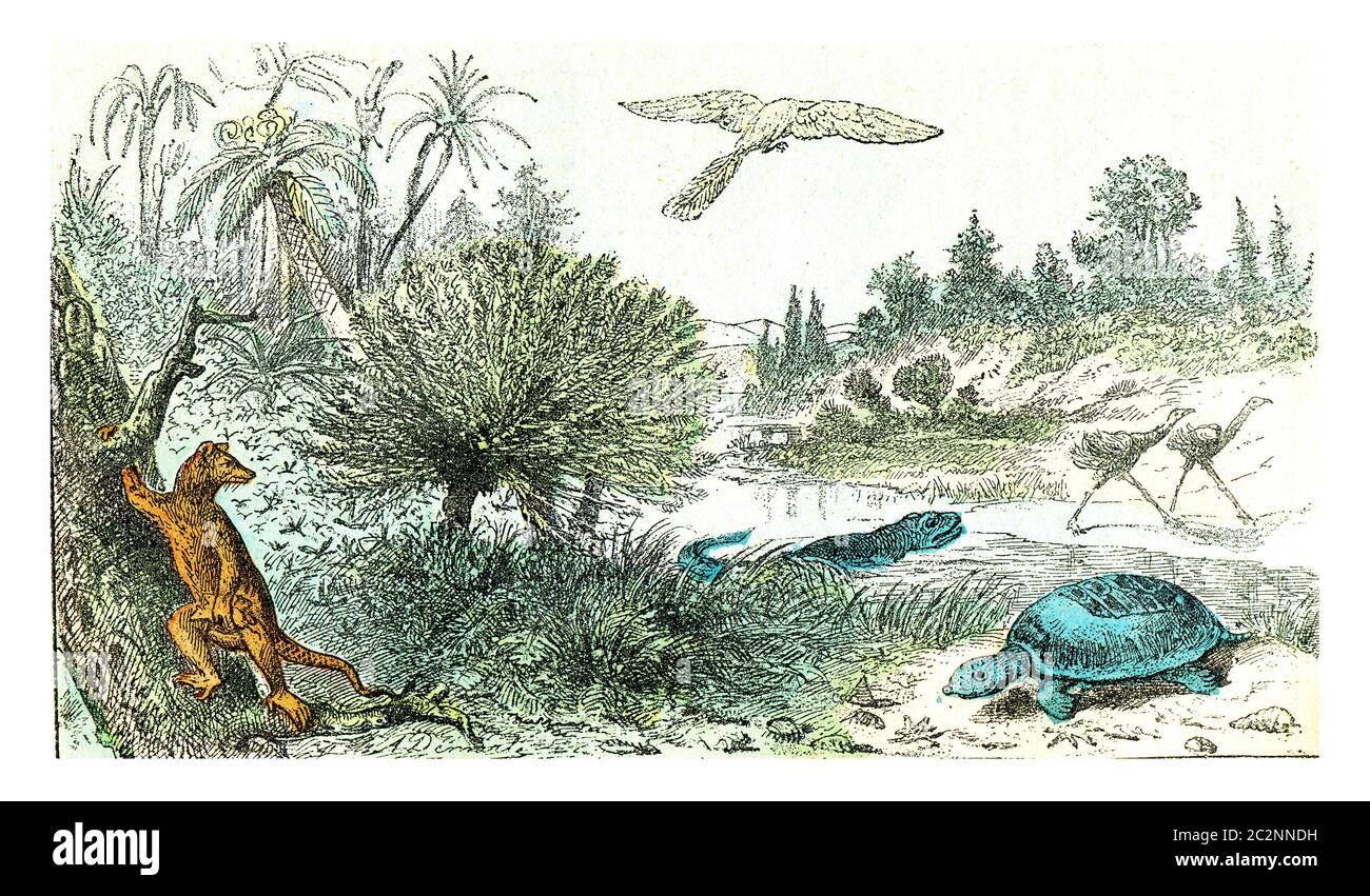 Ideal landscape of the Cretaceous period, vintage engraved illustration. From Natural Creation and Living Beings. Stock Photo