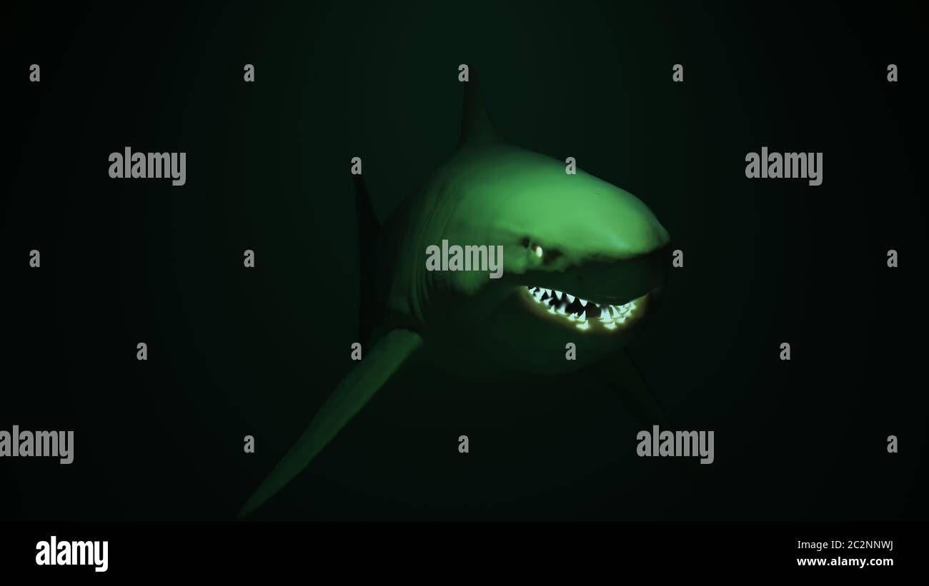 Shark fi hi-res stock photography and images - Alamy