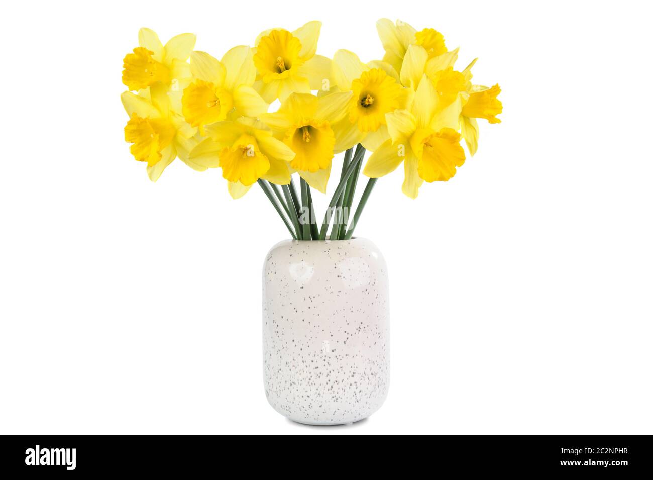 bouquet of yellow Daffodils isolated on white background Stock Photo ...