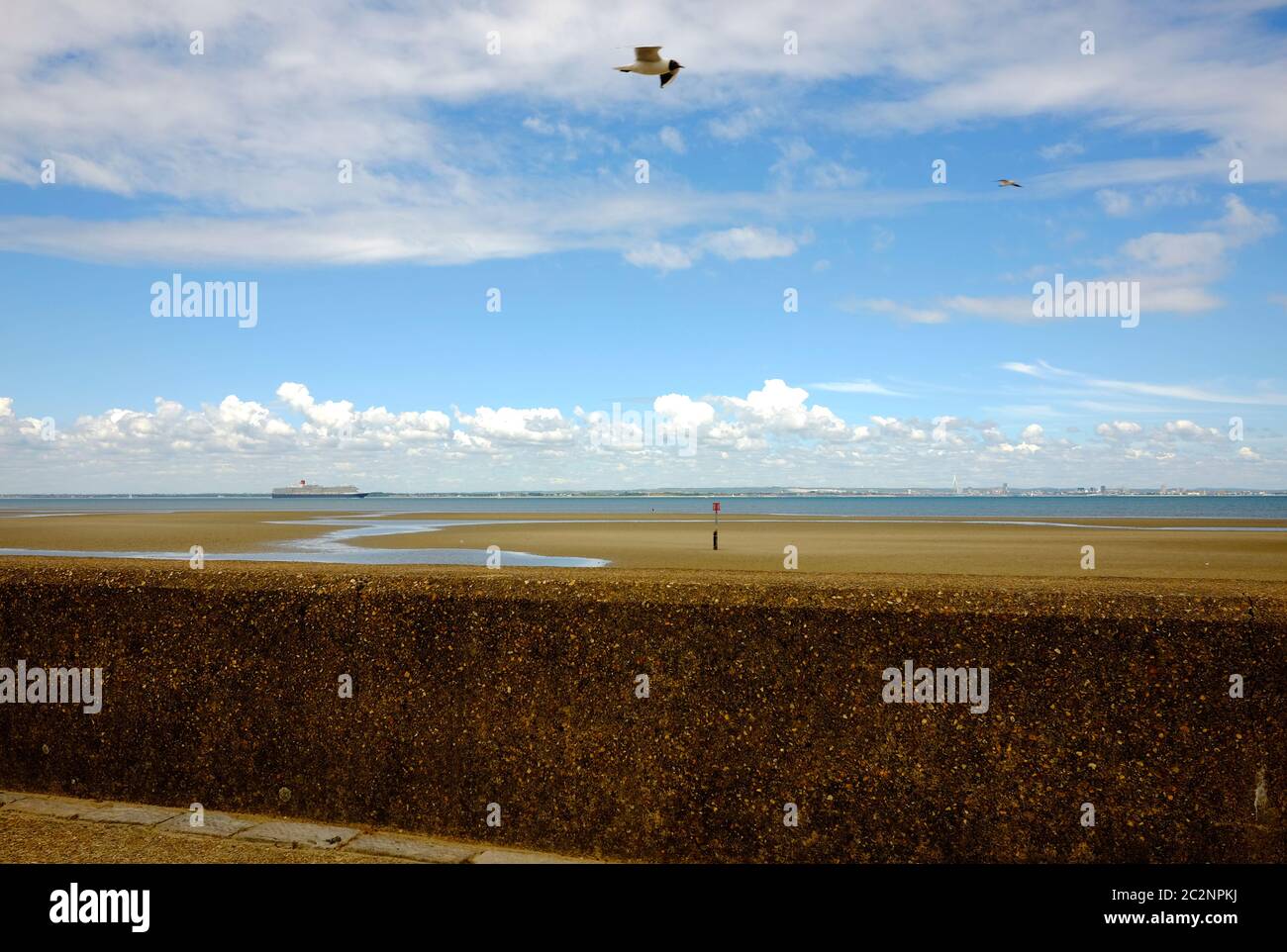 Ryde sand flats at low tide Solent Isle of Wight cruise ship on horizon under steam heading out seagulls in flight beach walk Stock Photo